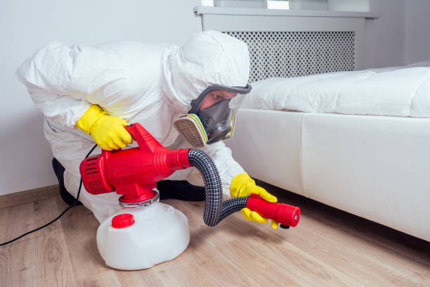 Best Mosquito Control Services  in Wilton Manors, FL