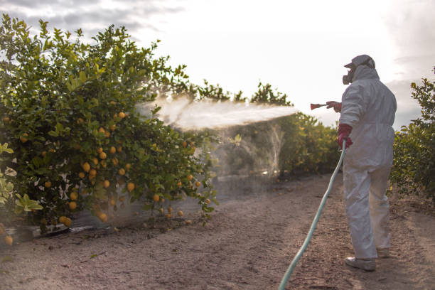 Best Commercial Pest Control Services  in Wilton Manors, FL