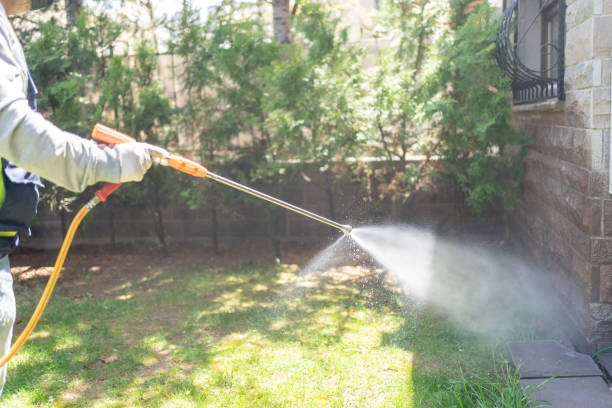 Professional Pest Control in Wilton Manors, FL