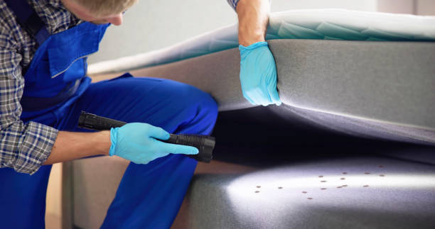 Best Termite Control Services  in Wilton Manors, FL