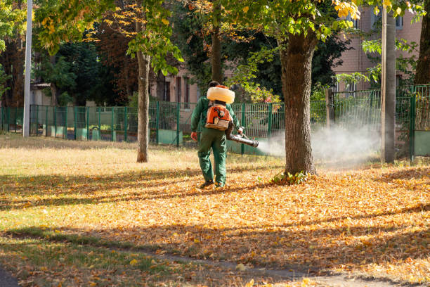 Best Insect Control  in Wilton Manors, FL
